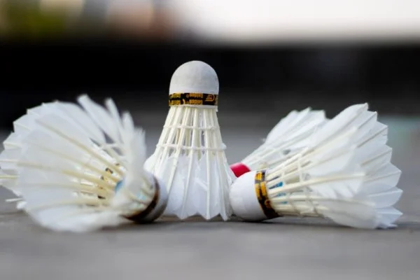 badminton court shuttlecock